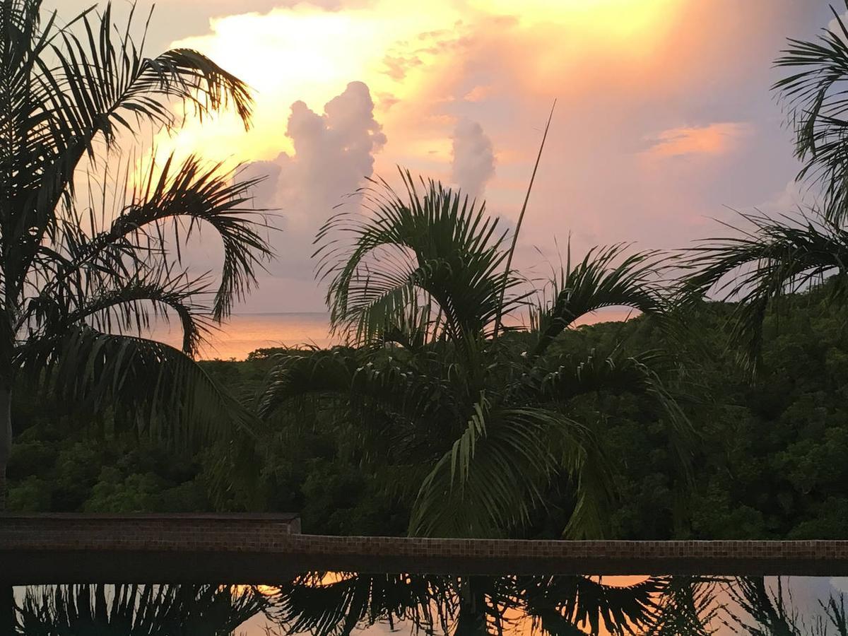 Luxury Villa Sleeps 6, Beach Access, Montego Bay Exterior foto